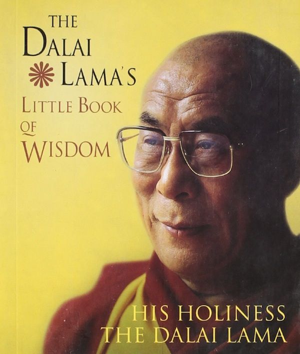 O Pequeno Livro de Sabedoria do Dalai Lama: Revisão e Oferta